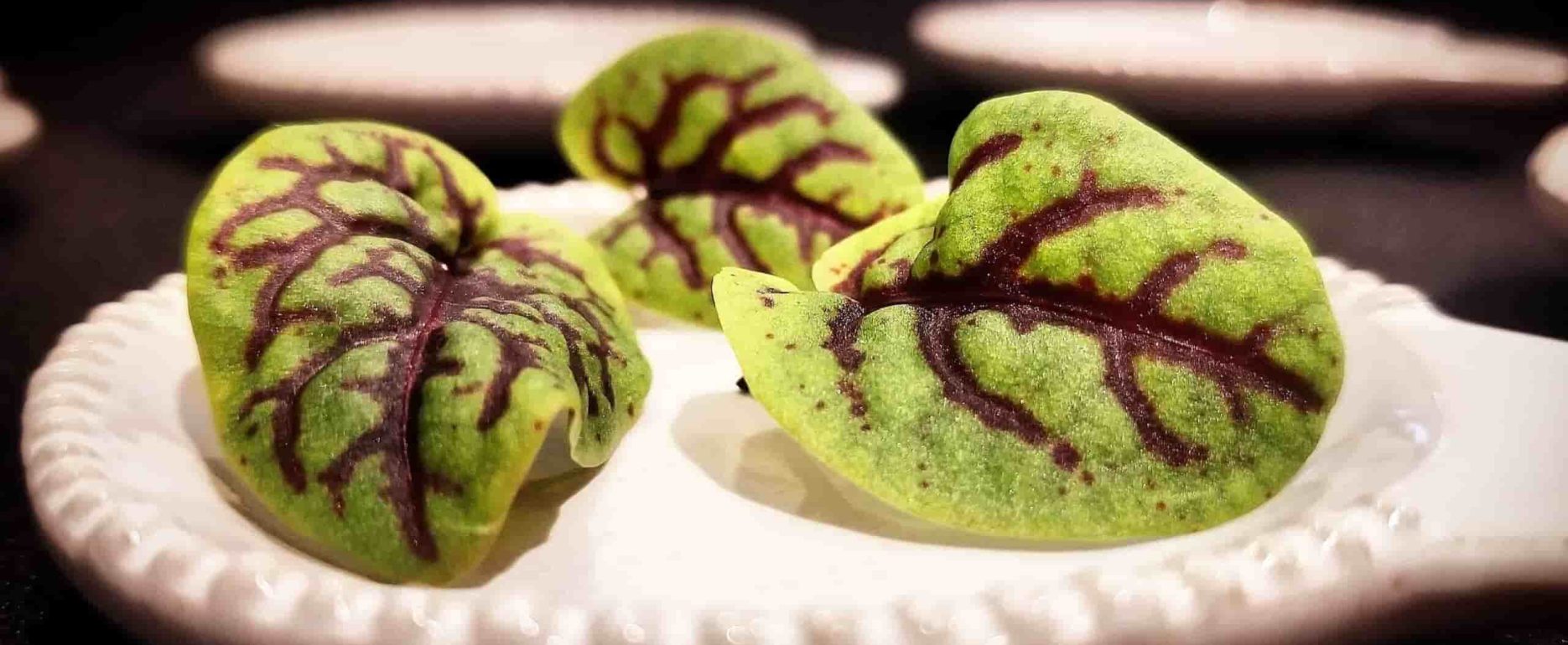 micro green My Chef Orlando